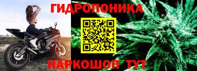 соль ск Кингисепп