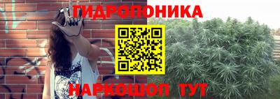 соль ск Кингисепп