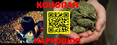 гидра Кимры