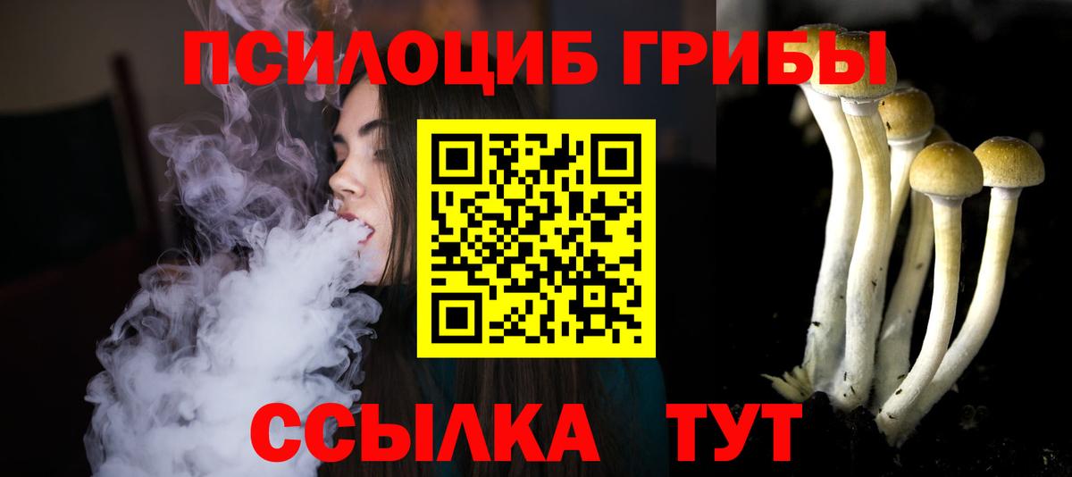 Псилоцибиновые грибы Cubensis  Псилоцибиновые грибы Psilocybine cubensis  Стрежевой  Вход с VPN 