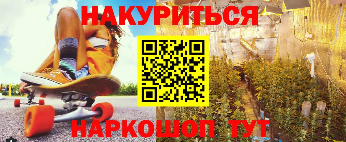 Канабис конопля  Вход с VPN  Канабис сатива  Конопля OG Kush  Каннабис AK-47  Стрежевой 